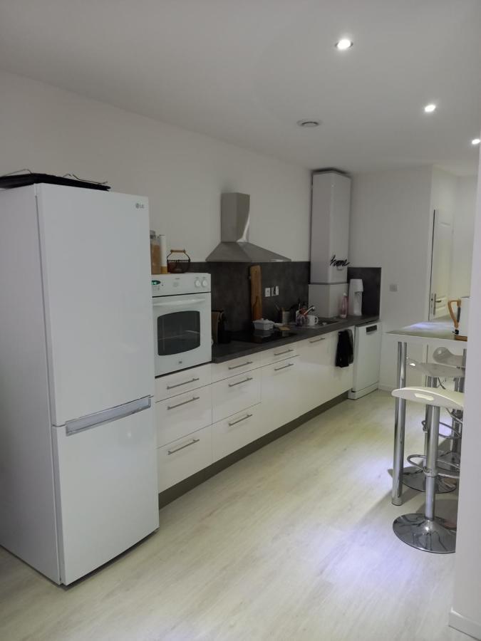 Tres Bel Appartement Condrieu Bagian luar foto