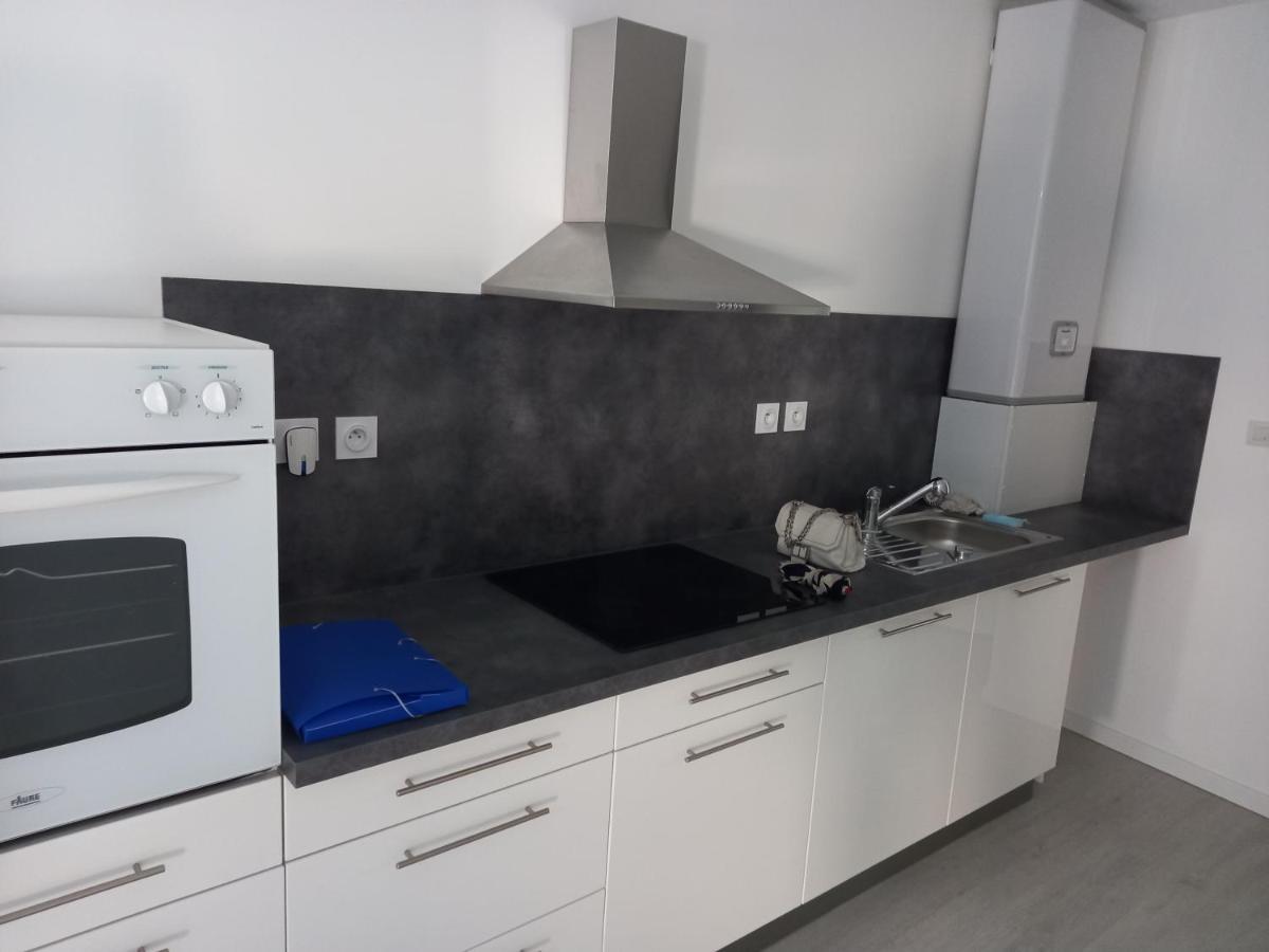 Tres Bel Appartement Condrieu Bagian luar foto